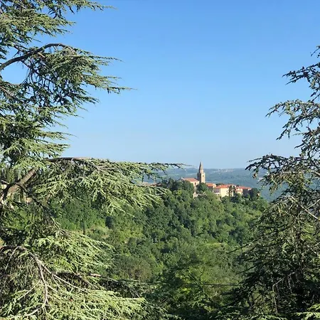 Romana