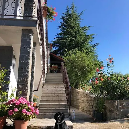 Romana Apartman Groznjan