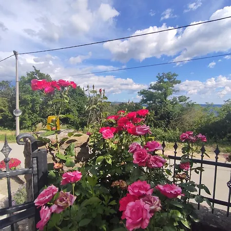 Apartman Romana