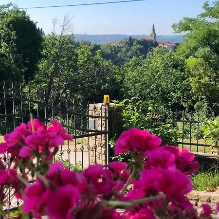Romana * Grožnjan