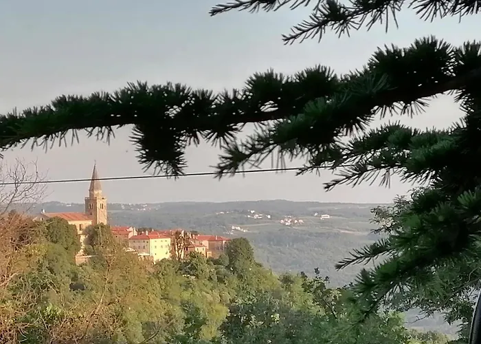 Romana Grožnjan