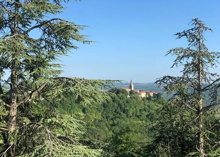 Romana