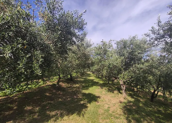 Apartamento Romana Grožnjan
